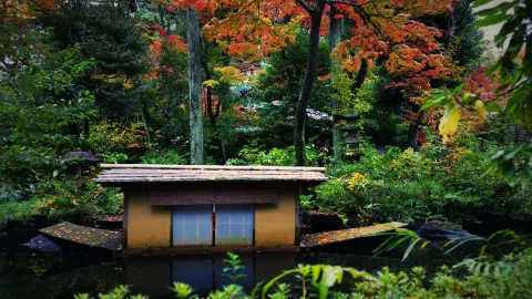 Nezu Museum attraction in Tokyo