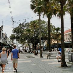 The Bavarian Manly Wharf User Photo