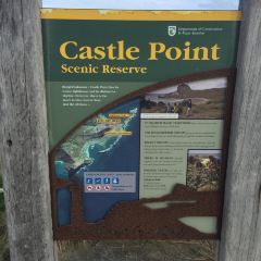 Castlepoint Store User Photo