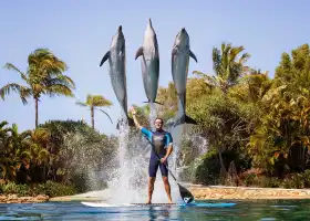 Warner Bros. Movie World