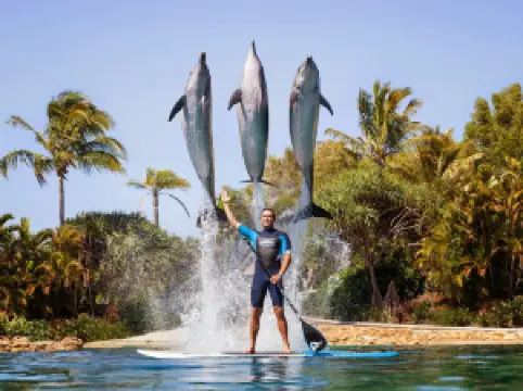 Уорнер Бразерс Муви Уорлд