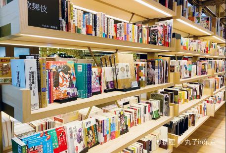 Tsutaya Books Ginza