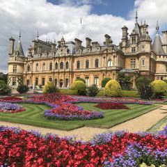 Fortune Garden User Photo