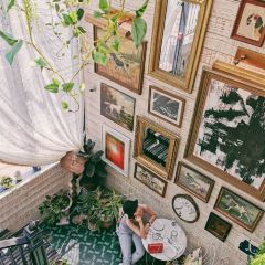 White Dog Cafe張用戶圖片