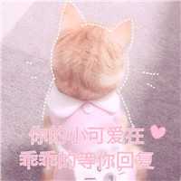 爱上李二哥