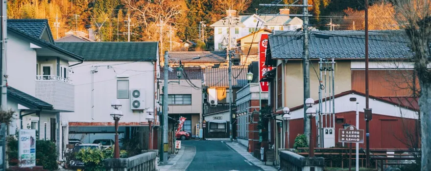 Japan Taisho Village