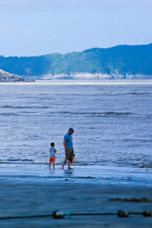 Beachcombing in Xiangshan