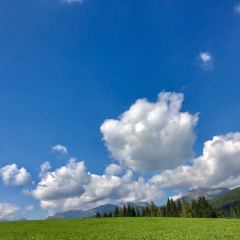 Lacknerhof User Photo