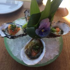 Nobu Malibu張用戶圖片