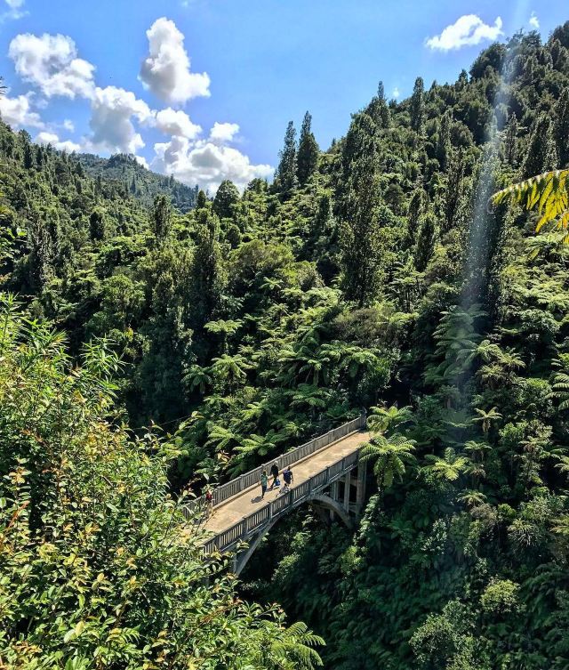 Bridge to Nowhere