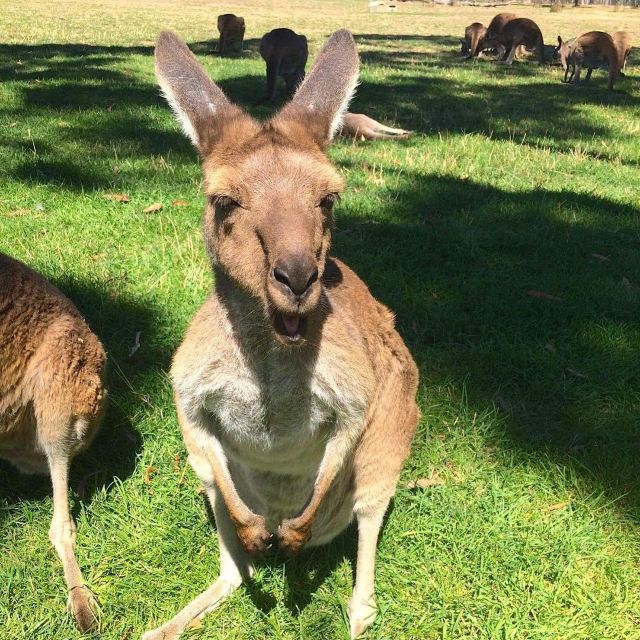 Cleland Conservation Park