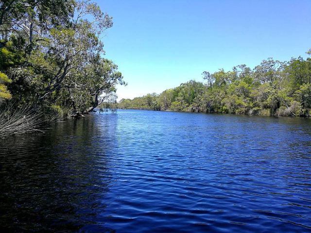 Everglades