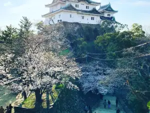 Lâu đài Wakayama