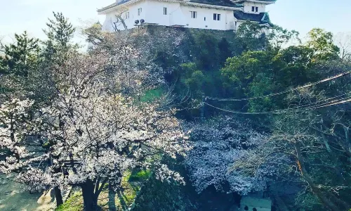 와카야마 성