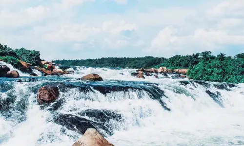 Source of the Nile