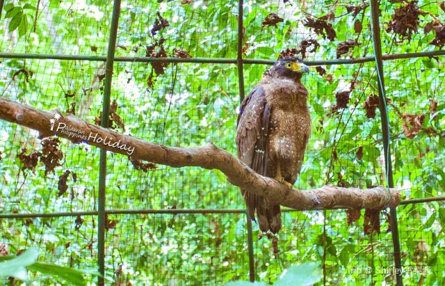 Palawan Wildlife Rescue and Consevation Center