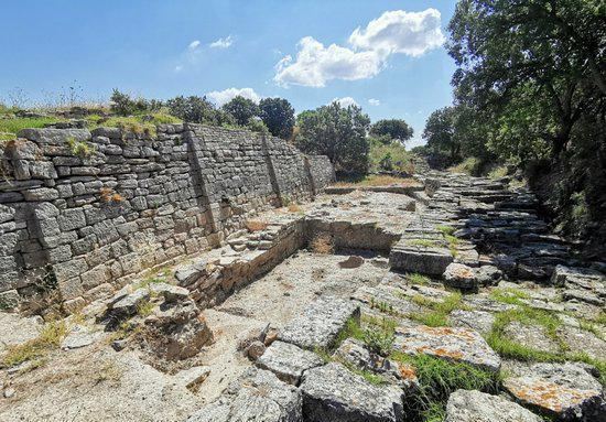 Troy (Truva)