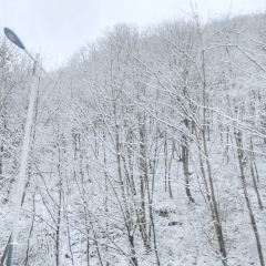 肯德基(秦岭服务区店) User Photo