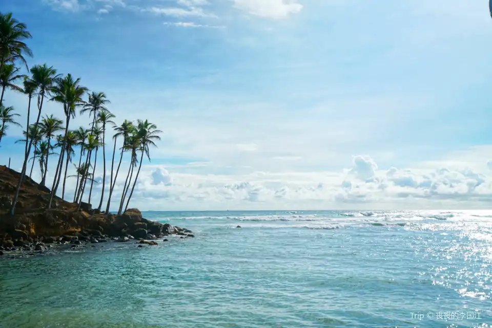 Coconut Tree Hill - Mirissa Tickets [2026] - Promos, Prices, Reviews ...