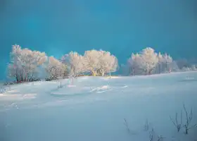 函館七飯滑雪場