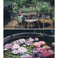 Petersham Nurseries Cafè張用戶圖片