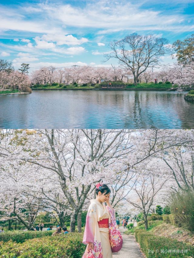 小城公園