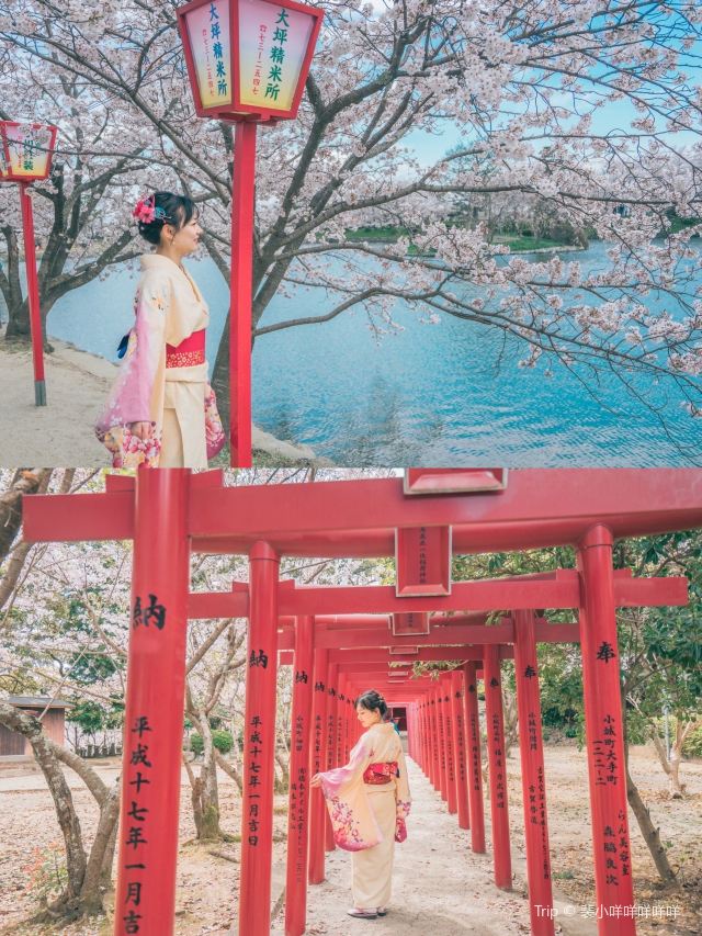 小城公園