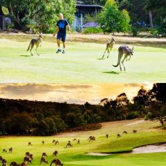 Anglesea Golf Club Bistro User Photo
