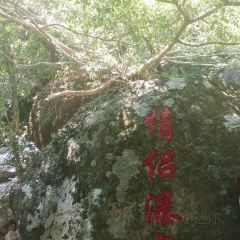 兴隆咖啡谷 User Photo