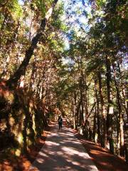 Taoshan Falls Trail