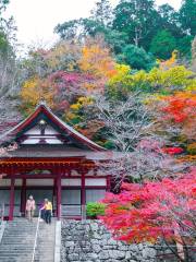 Tanzan Jinja