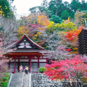 談山神社