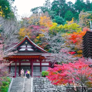 談山神社