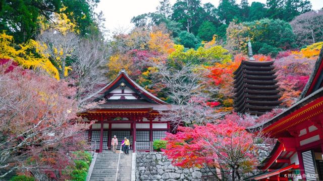 Tanzan Jinja