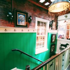 White Dog Cafe張用戶圖片