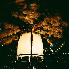 Coppa Club - Sonning-on-Thames張用戶圖片