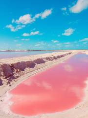 Playa Las Coloradas