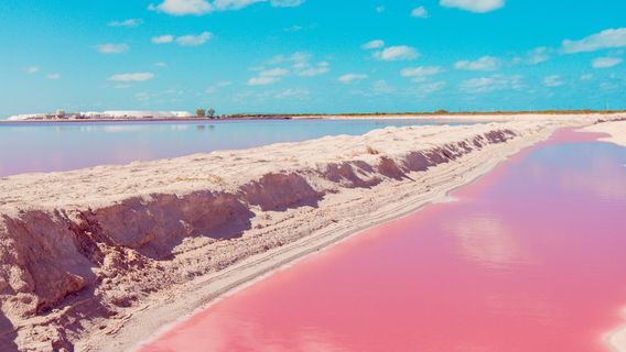 Зе Колорадас