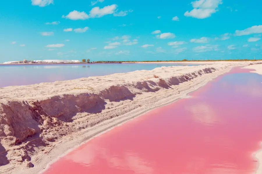 The Coloradas