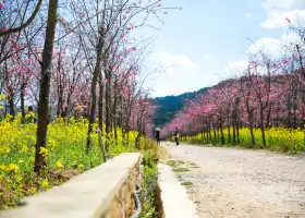 모판산 국립 삼림 공원