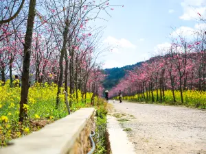 磨盤山国家森林公園