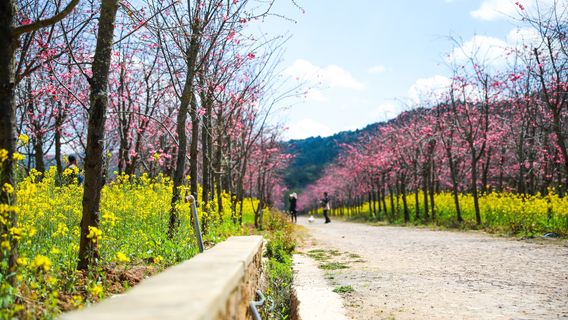 Mopanshan (Mopan Mountain) National Forest Park