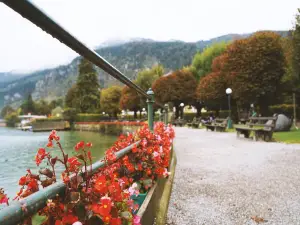 Attrazioni per la visione autunnale a Salisburghese: le opzioni più popolari