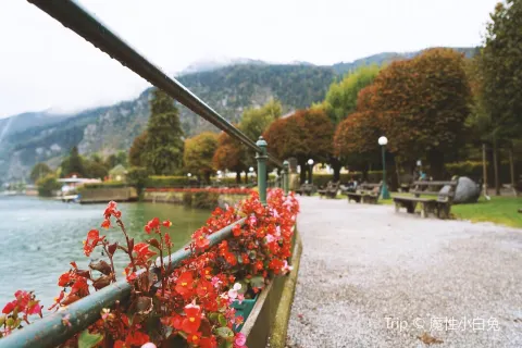 Wolfgangsee Lake