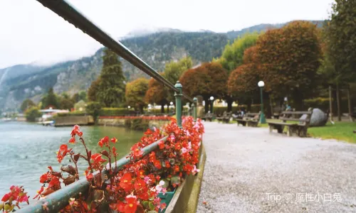 Wolfgangsee Lake