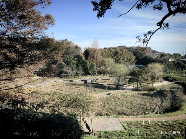 橫須賀市立しょうぶ園