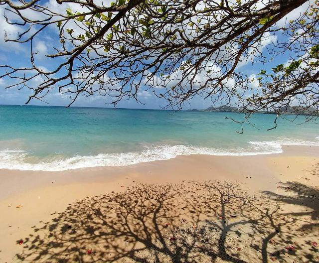 Vigie Beach