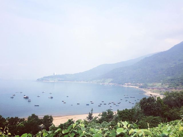 바이다