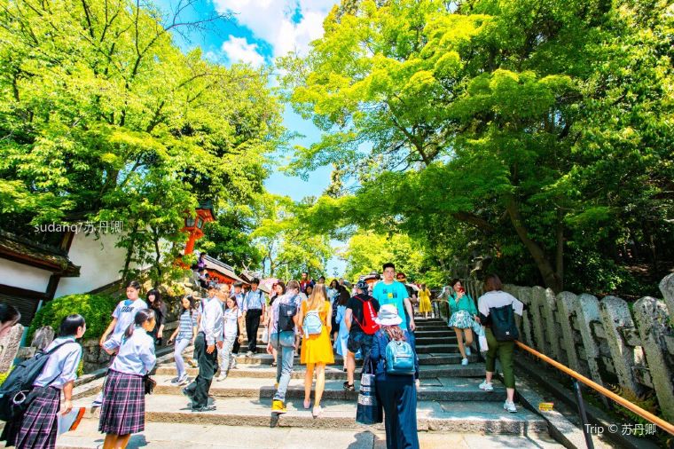 Kyoto Weather Trip Guide