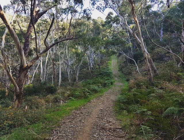 Cleland Conservation Park